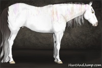 Horse Color:White Spotted Sable Champagne Ice Roan Dun