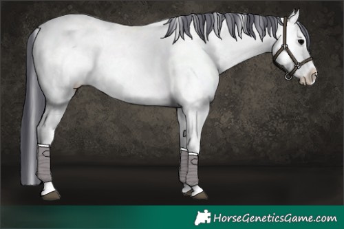 Horse Color:Blue Onyx Ice Snowflake Varnish