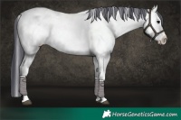 Horse Color:Blue Onyx Ice Snowflake Varnish