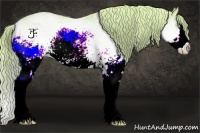 Horse Color:Watercolor White Spotted Chestnut Sabino Splash 