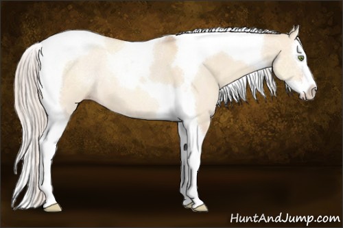 Horse Color:Silver Amber Champagne Dun Splash Tobiano 