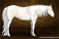 Horse Color:Silver Amber Champagne Dun Splash Tobiano 