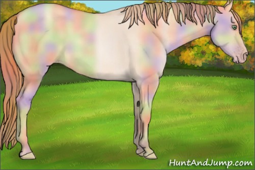 Horse Color:Nacre Gold Champagne Dun 