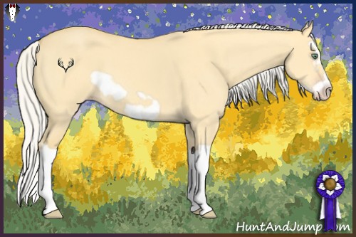 Horse Color:Silver Amber Cream Champagne Dun Splash Frame