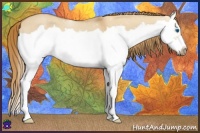 Horse Color:Red Dun Splash Frame 