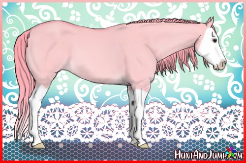 Horse Color:Watercolor Red Dun Splash 