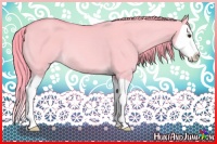 Horse Color:Watercolor Red Dun Splash 