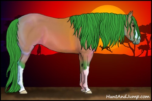 Horse Color:Watercolor Bay 