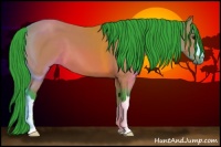 Horse Color:Watercolor Bay