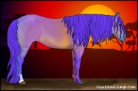 Horse Color:Watercolor Brown Sabino 