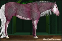 Horse Color:Silver Smoky Black Chinchilla Ice Splash