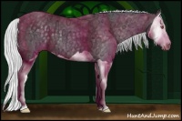 Horse Color:Silver Black Chinchilla Ice Splash 