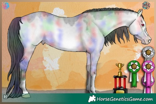 Horse Color:Nacre Sable Champagne Chinchilla Onyx 