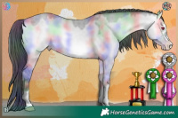 Horse Color:Nacre Sable Champagne Chinchilla Onyx