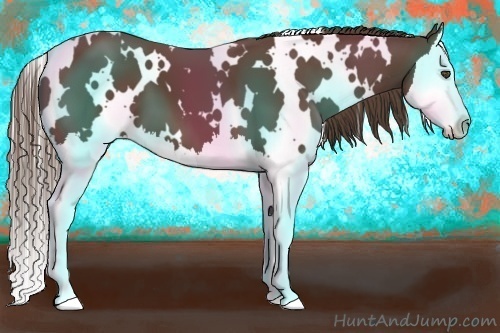 Horse Color:White Spotted Liver Chestnut Splash 