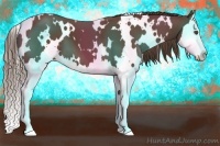 Horse Color:White Spotted Liver Chestnut Splash