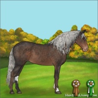 Horse Color:Liver Chestnut Mushroom Varnish 