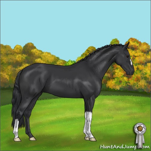 Horse Color:Black Mushroom