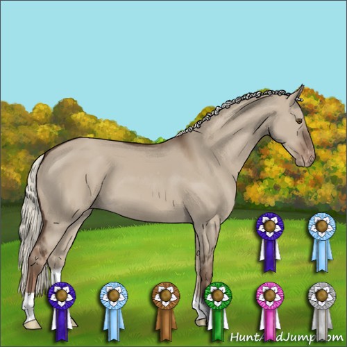Horse Color:Liver Red Dun Mushroom Varnish
