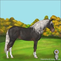 Horse Color:Liver Chestnut Mushroom Varnish 