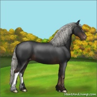 Horse Color:Liver Chestnut Mushroom Varnish