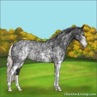 Horse Color:White Spotted Liver Chestnut Mushroom 