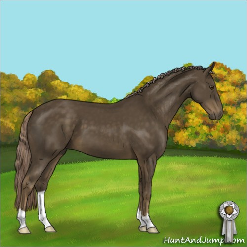 Horse Color:Chocolate Palomino Mushroom 