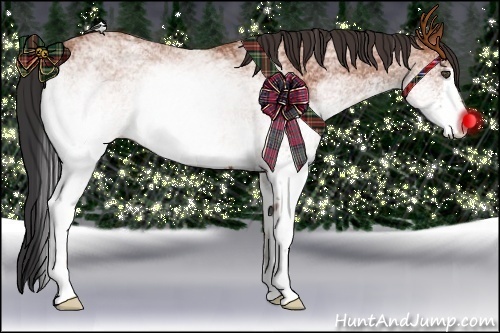 Horse Color:White Spotted Bay Rabicano 