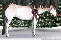 Horse Color:White Spotted Bay Rabicano 