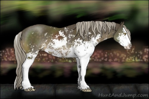 Horse Color:Chocolate Palomino Sabino Splash 