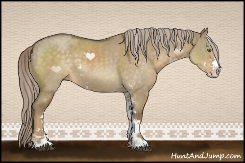 Horse Color:Chocolate Palomino Dun Sabino 