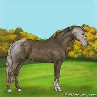 Horse Color:Chocolate Palomino Mushroom Varnish 