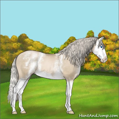 Horse Color:White Spotted Chocolate Palomino Pearl Splash