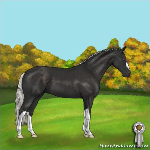 Horse Color:Liver Chestnut Mushroom 