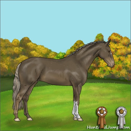Horse Color:Chocolate Palomino Mushroom Varnish
