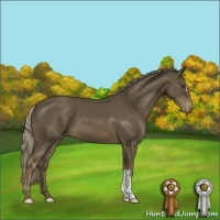 Horse Color:Chocolate Palomino Mushroom Appaloosa