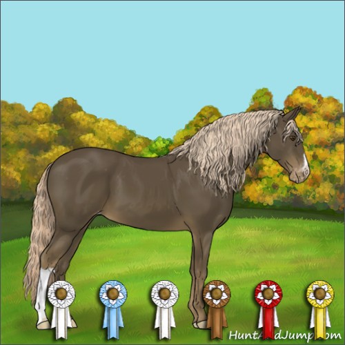 Horse Color:Chocolate Palomino Mushroom Varnish 