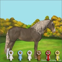 Horse Color:Chocolate Palomino Mushroom Varnish