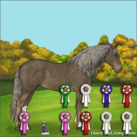 Horse Color:Chocolate Palomino 