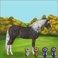 Horse Color:Liver Chestnut Mushroom Snowflake Varnish 