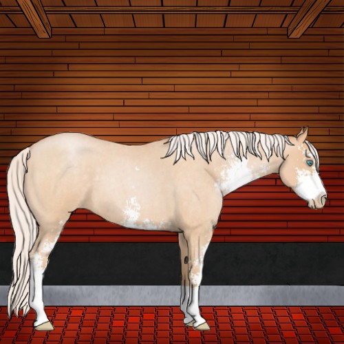 Horse Color:Silver Buckskin Roan Pearl Sabino 