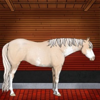 Horse Color:Silver Buckskin Roan Pearl Sabino 