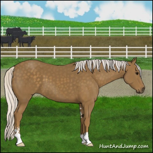 Horse Color:Silver Smoky Black Sabino 