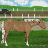Horse Color:Silver Smoky Black Sabino 