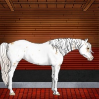 Horse Color:Silver Buckskin Dun Sabino