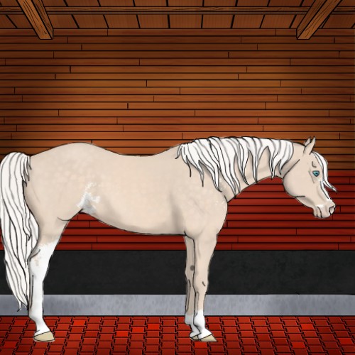 Horse Color:Silver Perlino Sabino 