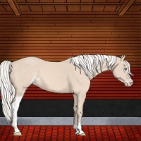 Horse Color:Silver Perlino Sabino