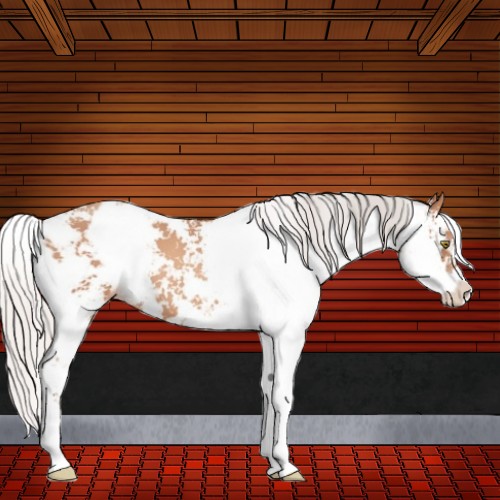 Horse Color:Silver Sable Champagne Sabino 