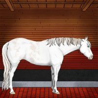 Horse Color:Smoky Creme Dun Sabino 