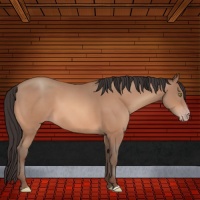 Horse Color:Sable Champagne 
